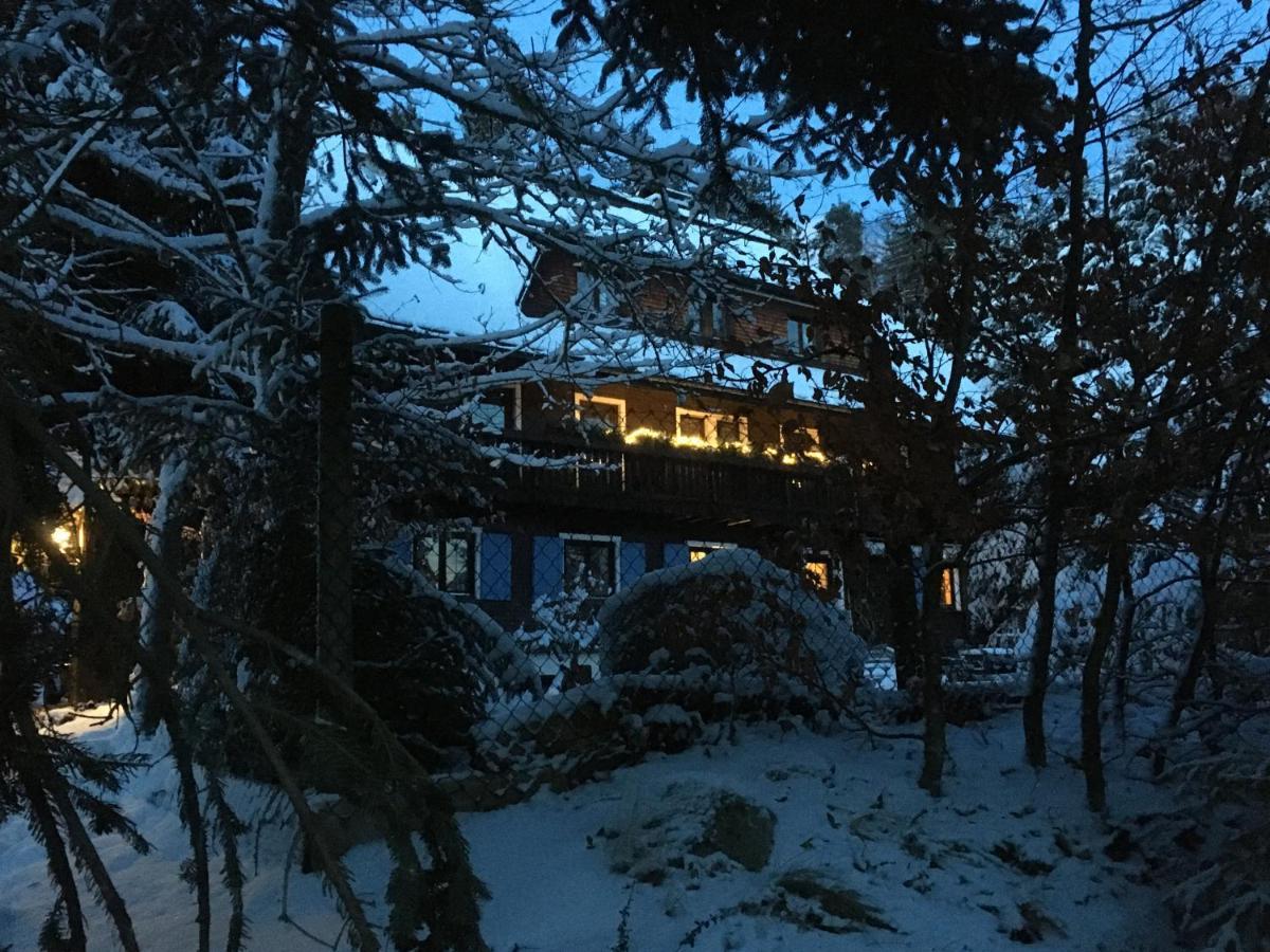 Fuchs Und Has' Gaestehaus Apartment Feldberg  Bagian luar foto