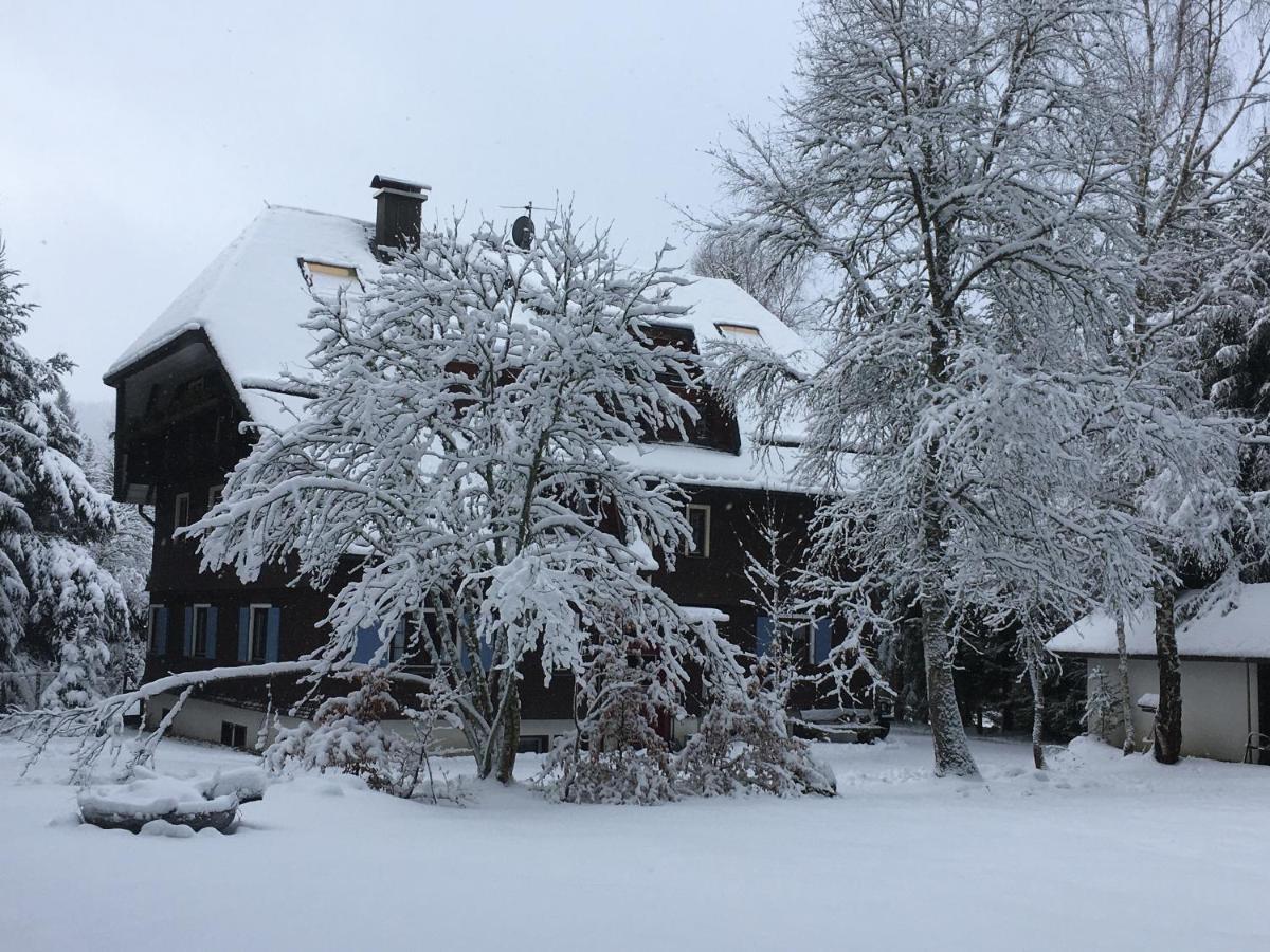 Fuchs Und Has' Gaestehaus Apartment Feldberg  Bagian luar foto